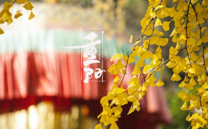 金秋送爽，心暖重陽。祝您重陽愉快，闔家歡樂，福壽安康！